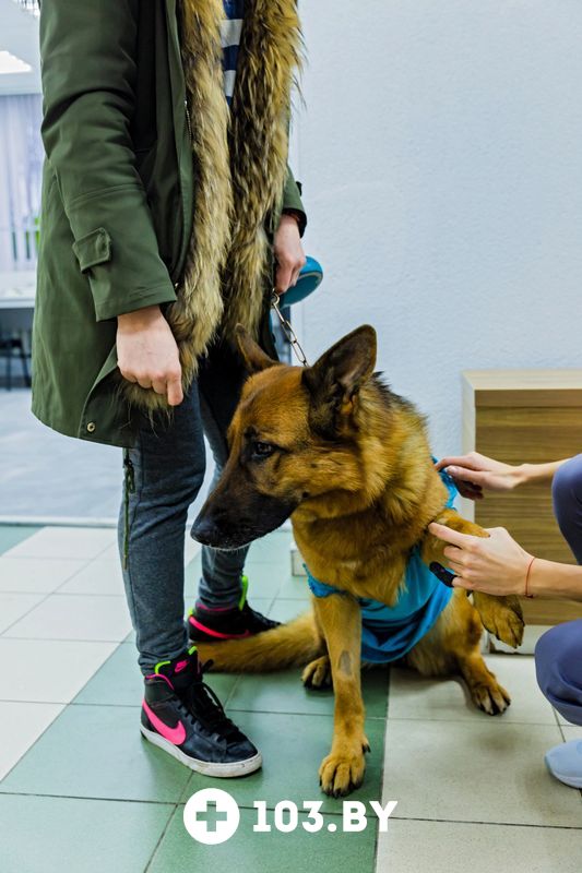 Галерея undefined - фото 2163643