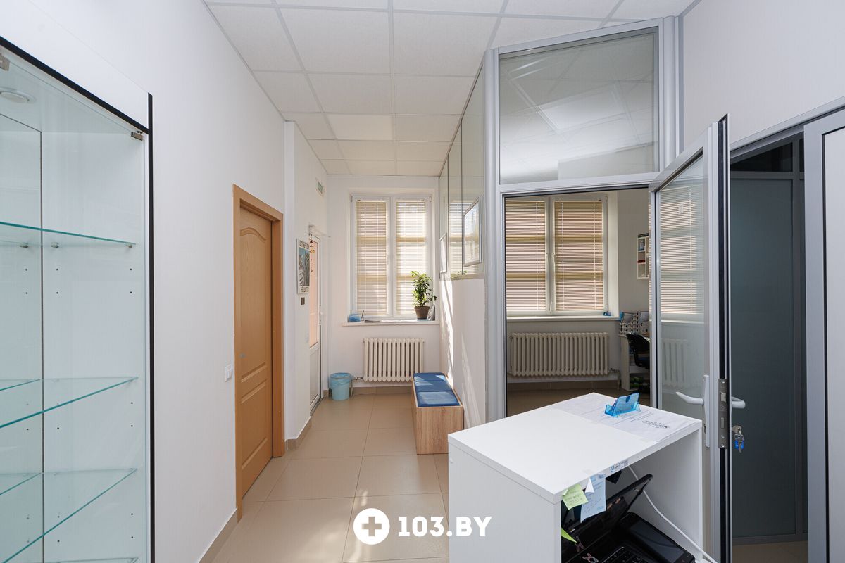 Галерея Ветеринарная клиника NAN Animal Clinic (НАН Энимал Клиник) - фото 2736228