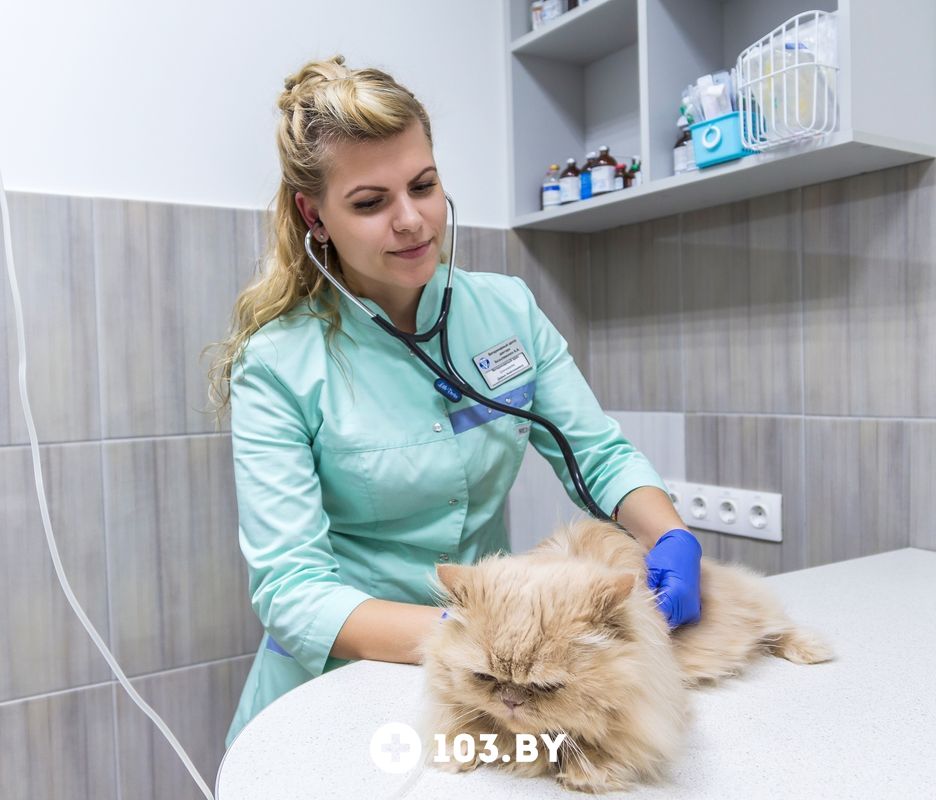 Галерея undefined - фото 1766543