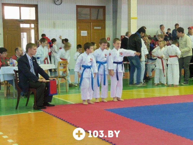SHITO-RYU OPEN CUP в г. Гродно (19-20.05.2012)  «Гомельское городское молодежное общественное объединение традиционного и спортивного каратэ» - фото 1401073