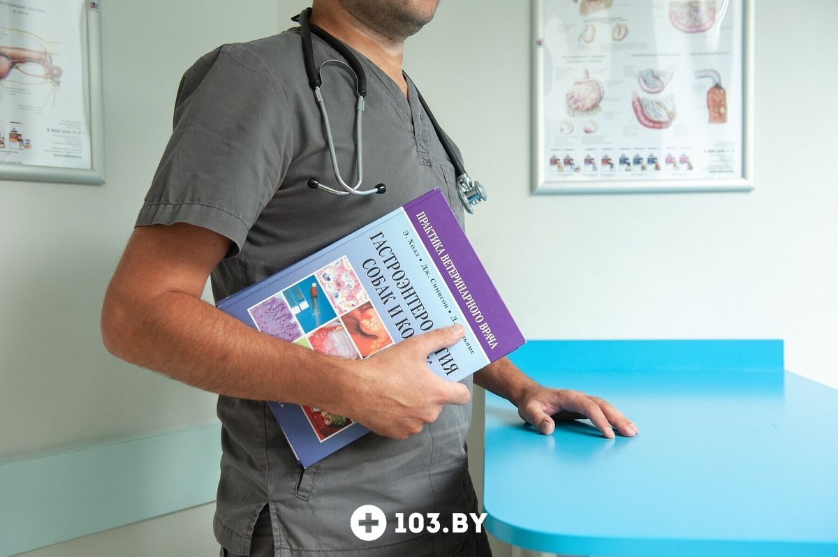 Галерея undefined - фото 2796648