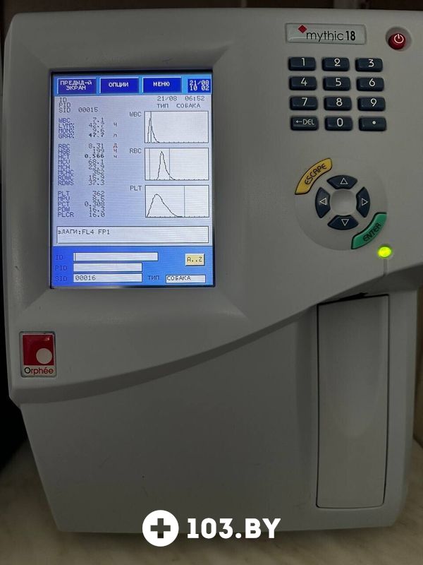 Галерея Ветклиника «Центр здоровья животных» - фото 2797965