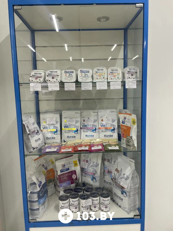 Галерея Ветеринарная клиника «Столетово» - фото 2814185