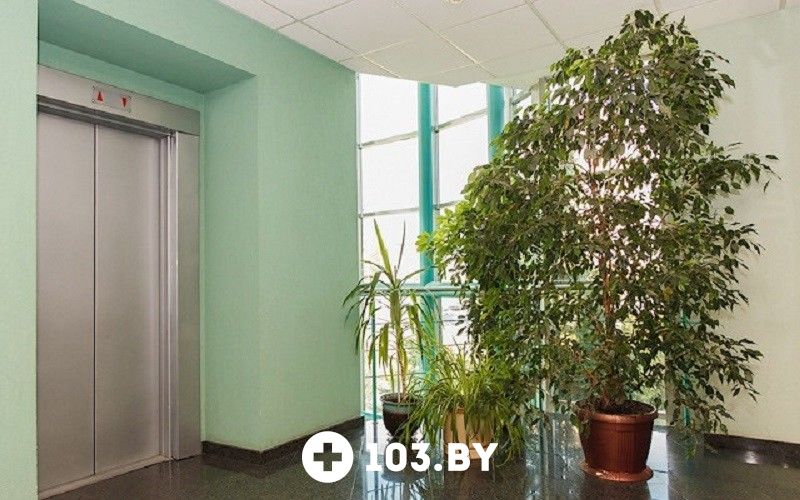 Галерея Медицинский центр «Нордин» - фото 1673683