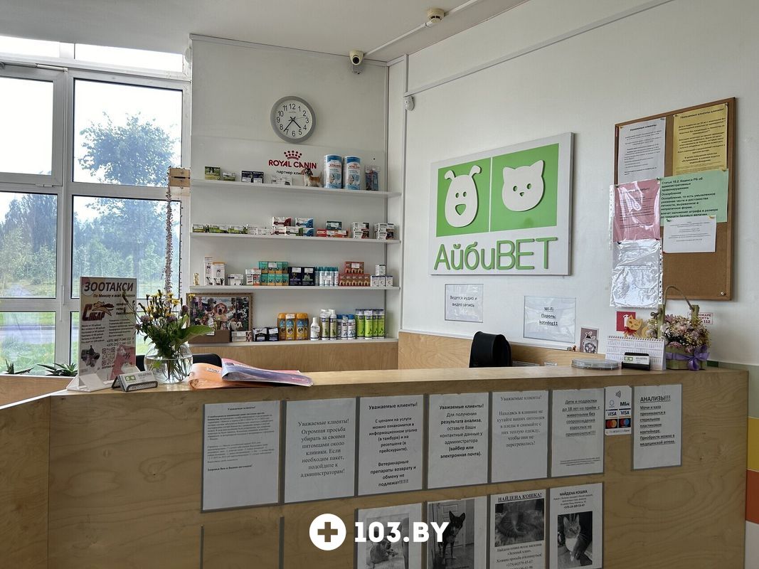 Галерея Ветеринарная клиника  «АйбиВЕТ» - фото 2794908