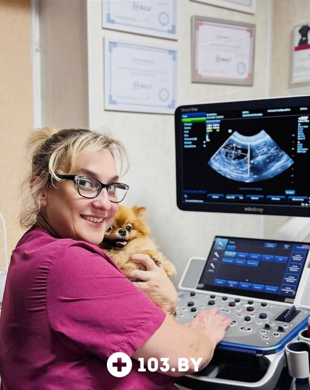 Галерея Ветклиника «МогВетЛига» - фото 2813068