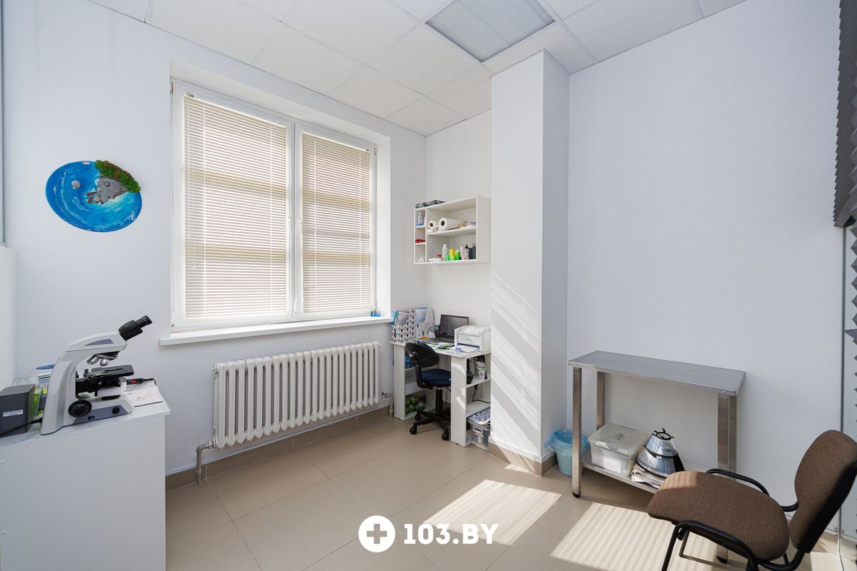 Галерея Ветеринарная клиника NAN Animal Clinic (НАН Энимал Клиник) - фото 2736241