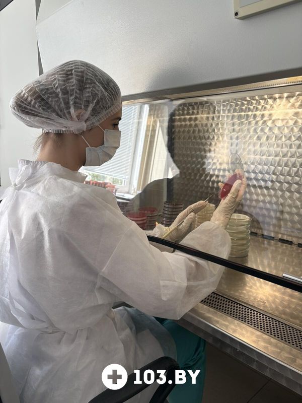 Галерея  «Гродненский областной центр гигиены, эпидемиологии и общественного здоровья» - фото 2800632