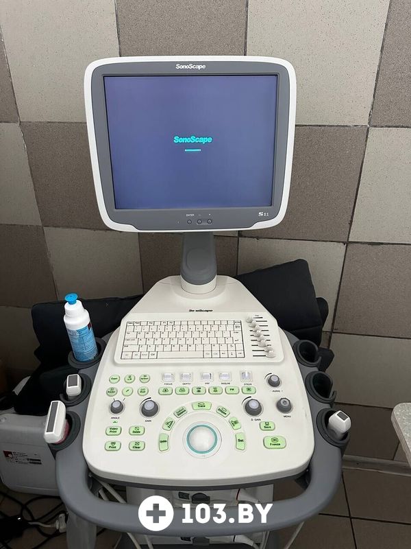 Галерея Ветклиника «Центр здоровья животных» - фото 2797962