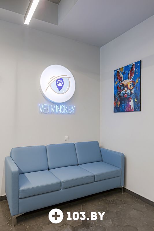 Интерьер Ветеринарная клиника «Компаньон» - фото 2810764
