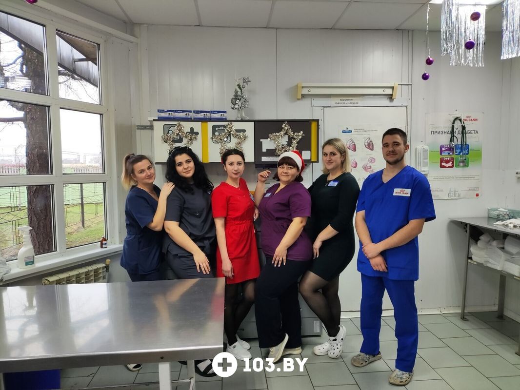 Галерея Ветклиника «Эвия Верум» - фото 2770471