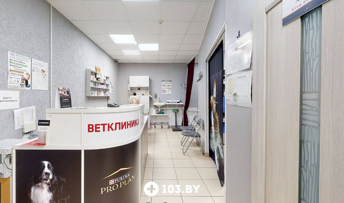 Галерея Ветеринарная клиника  «Ваш Добрый ветеринар» - фото 2794226