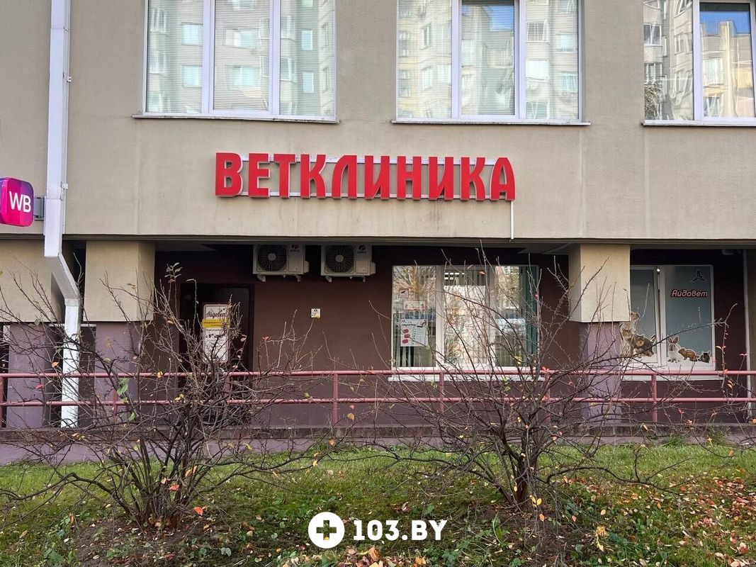 Галерея Ветклиника «Айдавет» - фото 2809209