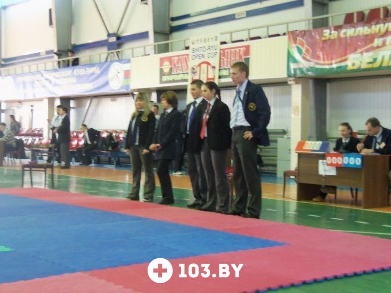 SHITO-RYU OPEN CUP в г. Гродно (19-20.05.2012)  «Гомельское городское молодежное общественное объединение традиционного и спортивного каратэ» - фото 1401063
