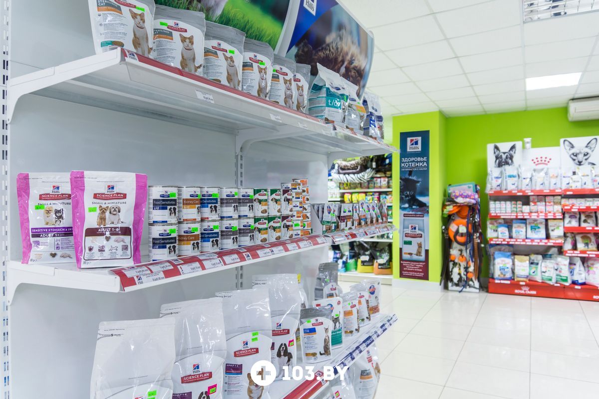 Галерея  Ветеринарный центр доктора Базылевского А.А. Филиал «Могилев» - фото 1766623