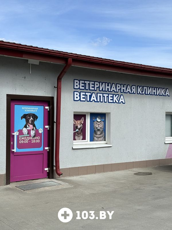 Галерея Ветеринарная клиника «Столетово» - фото 2819055