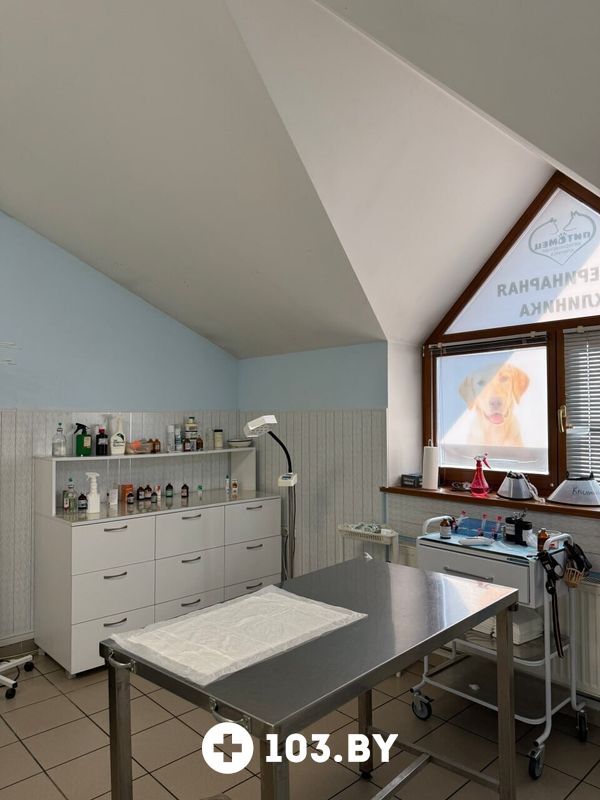 Галерея Ветеринарная клиника «Питомец» - фото 2790000