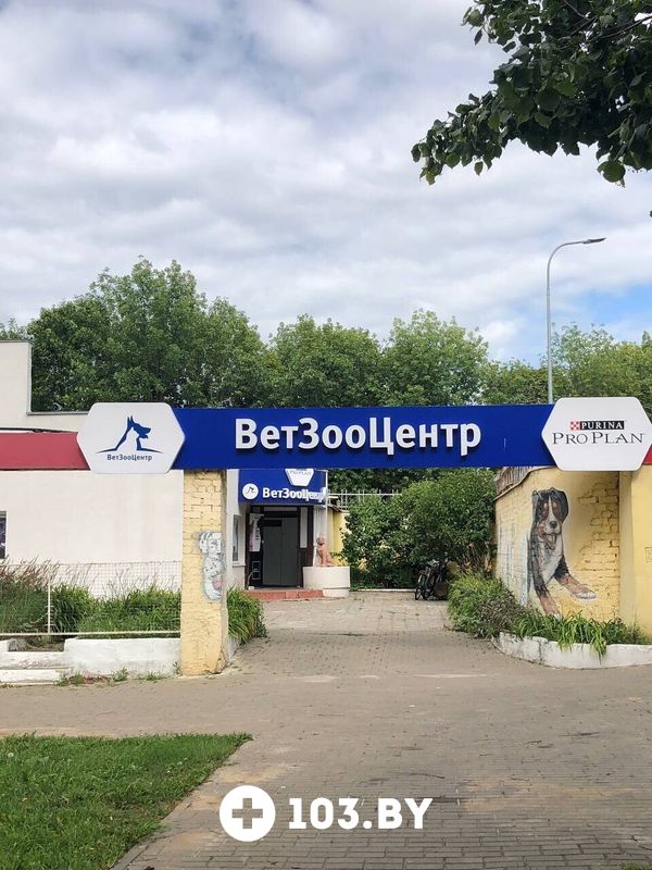 Галерея undefined - фото 2734293