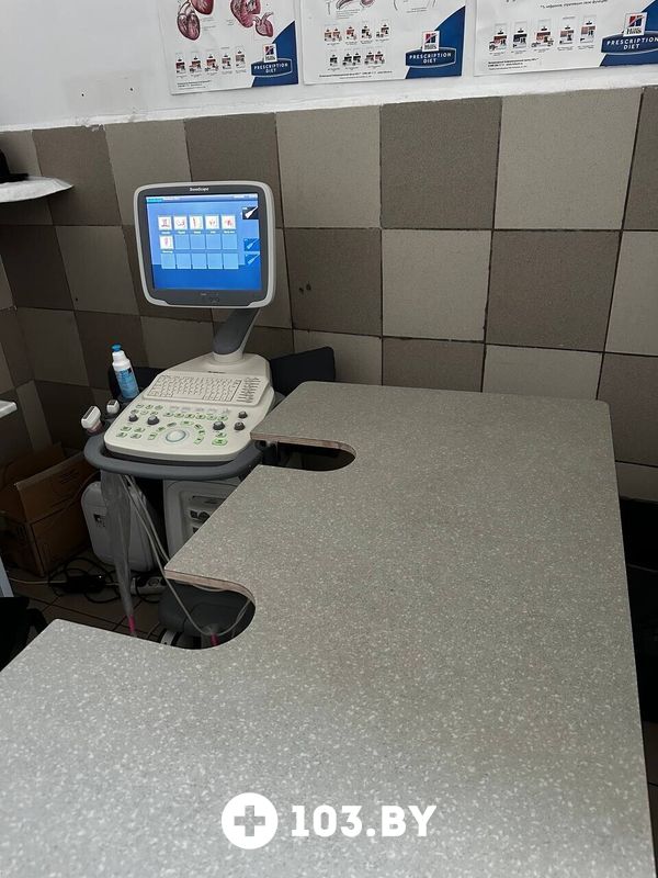 Галерея Ветклиника «Центр здоровья животных» - фото 2797968