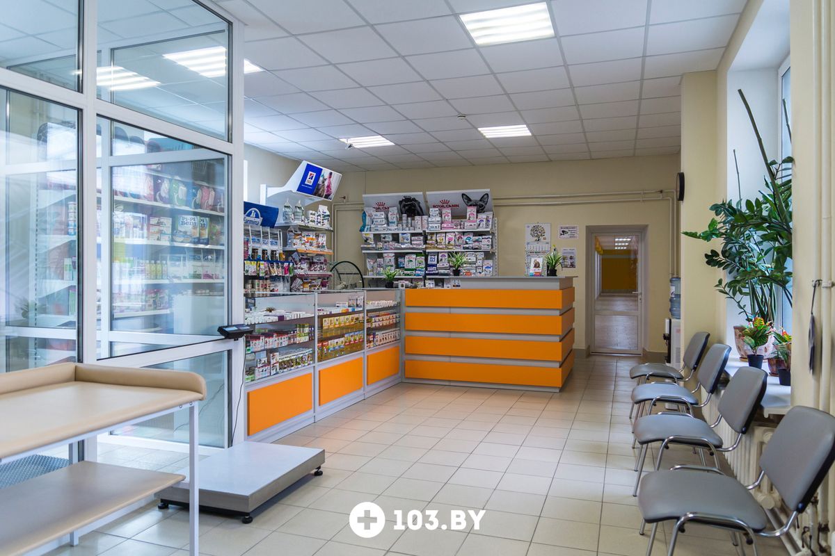 Галерея Ветеринарный центр «КакадуВет» - фото 2299133