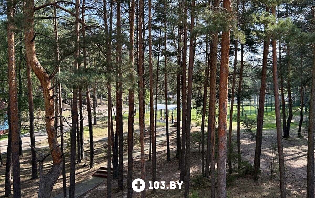 Территория Туристско-оздоровительный комплекс «Высокий берег» - фото 2762704