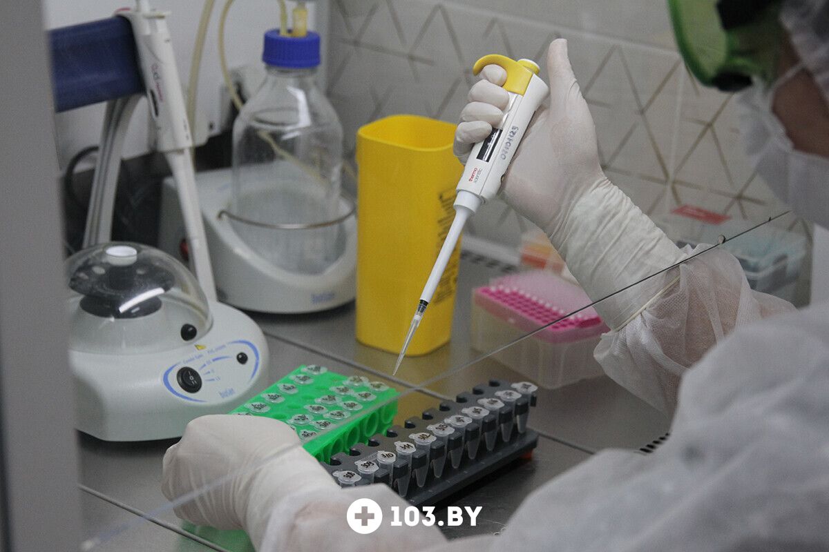 Галерея  «Гродненский областной центр гигиены, эпидемиологии и общественного здоровья» - фото 2799477