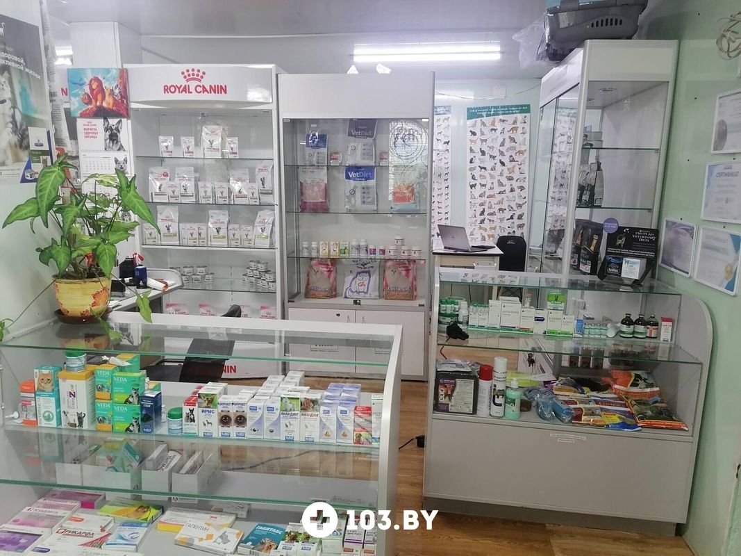 Галерея Ветеринарная клиника «СимбаВет» - фото 2797242