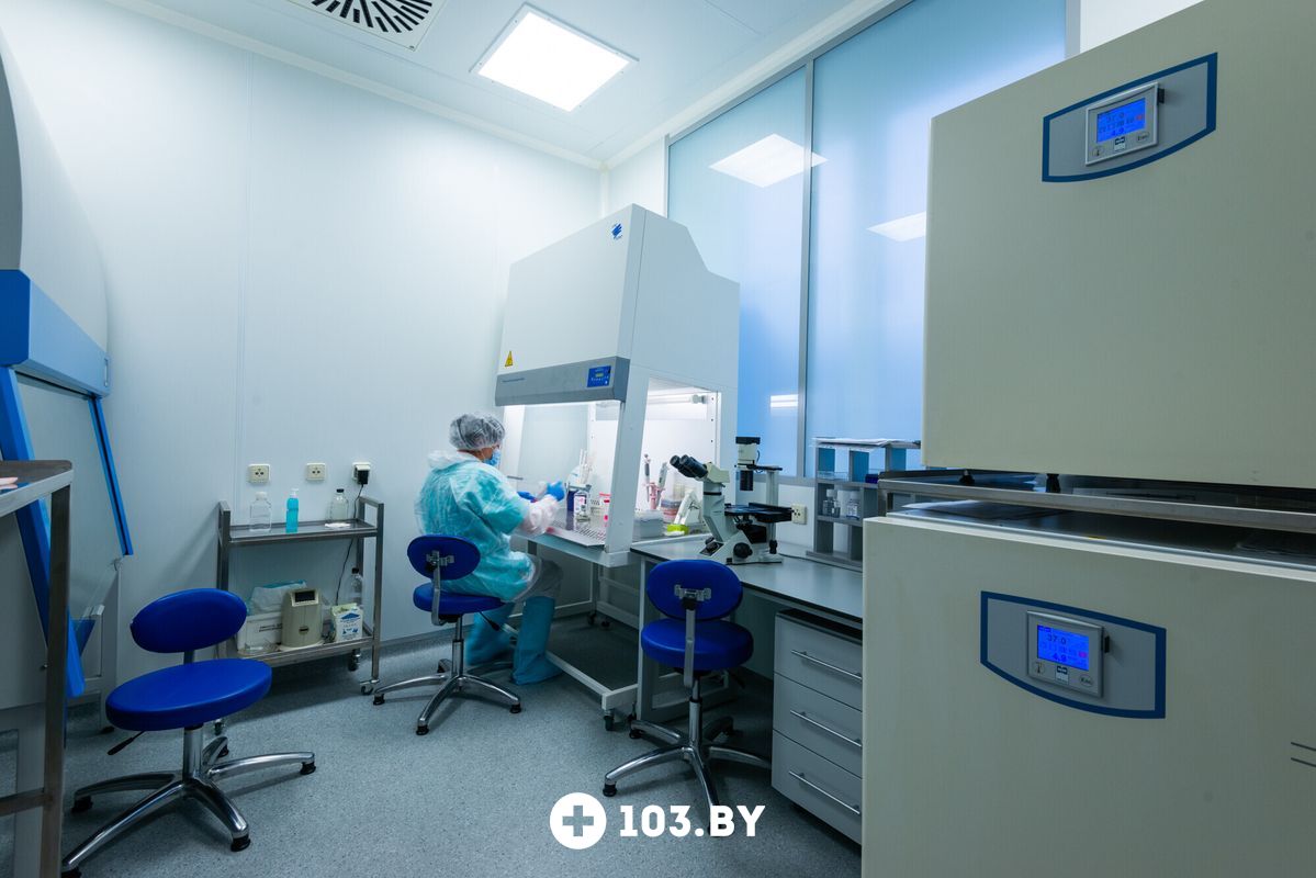 Галерея  Отделение клеточной терапии Института биофизики и клеточной инженерии НАН Беларуси - фото 2728614