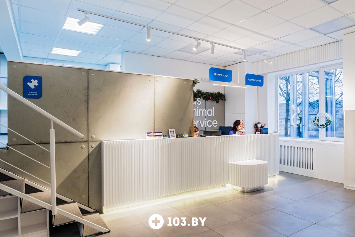 Галерея Ветеринарная клиника «Сас Энимал Сервис» - фото 2162913