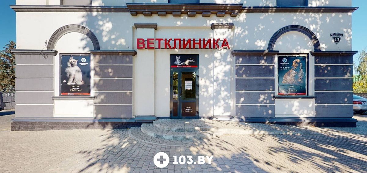 Галерея Ветеринарная клиника  «Ваш Добрый ветеринар» - фото 2794244