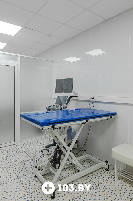 Интерьер  «Ветеринарный центр доктора Базылевского А.А. Филиал «Минск 24/7»» - фото 2784681