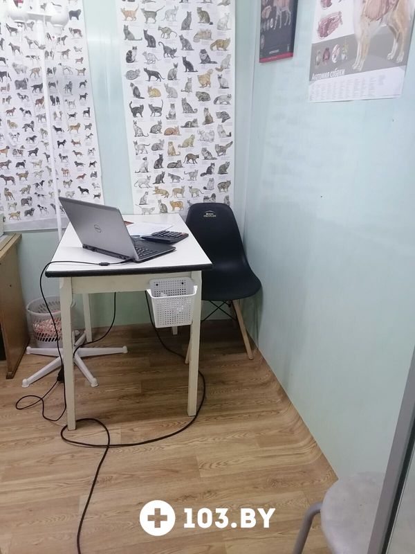 Галерея Ветеринарная клиника «СимбаВет» - фото 2797245