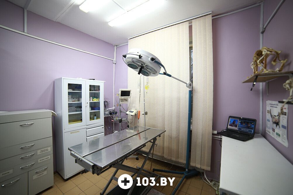 Галерея Ветеринарная клиника «ЭкспертВет» - фото 2728167