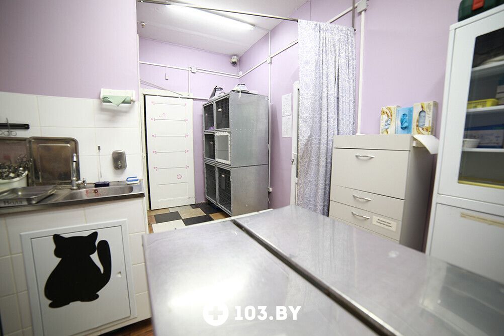 Галерея Ветеринарная клиника «ЭкспертВет» - фото 2728168