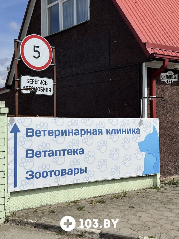 Галерея Ветеринарная клиника «Столетово» - фото 2819076