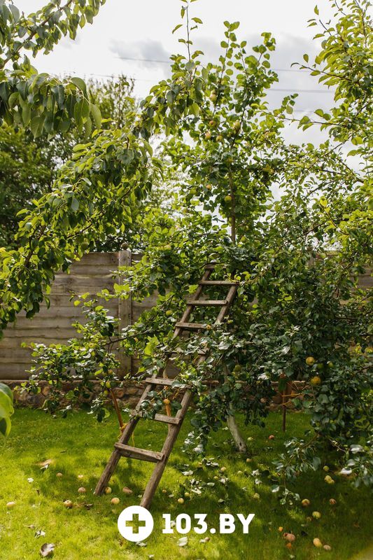 Деревянный дом  Коттедж на озере Должа - фото 2381733