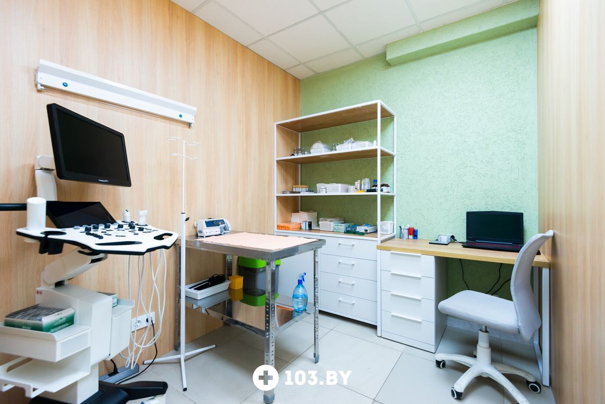 Интерьер Ветклиника «Хвостатый нянь» - фото 2732862