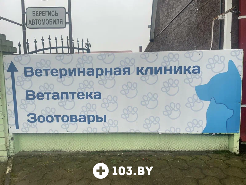 Галерея Ветеринарная клиника «Столетово» - фото 2814191