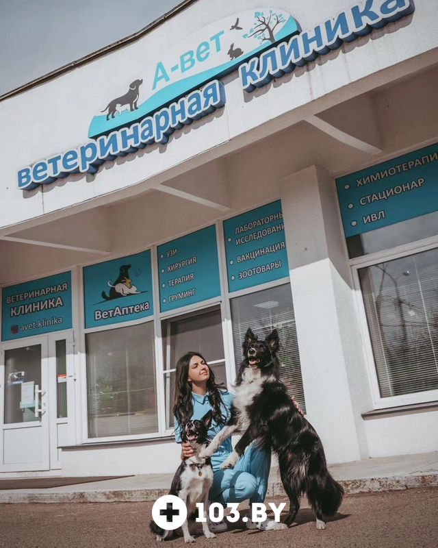 Галерея Ветеринарная клиника «А-вет» - фото 2822212